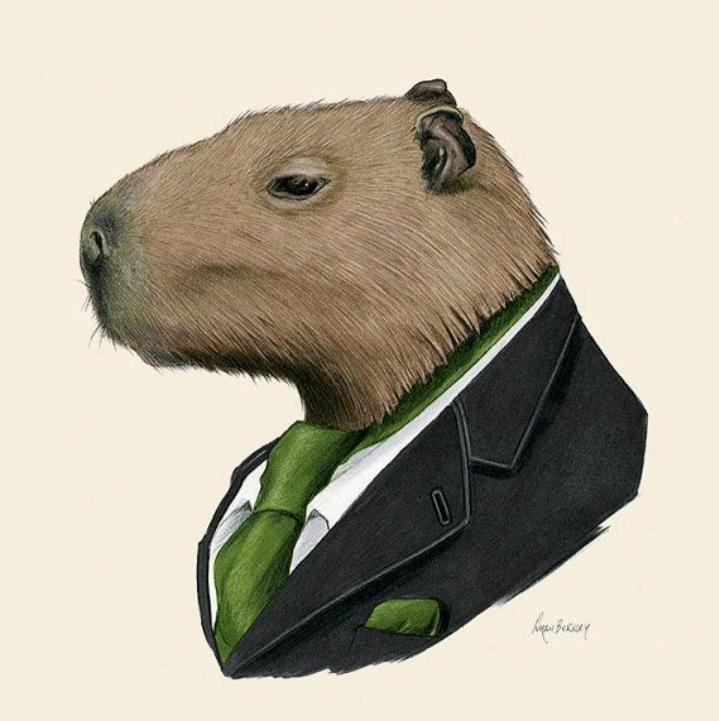 DR CAPIVARA