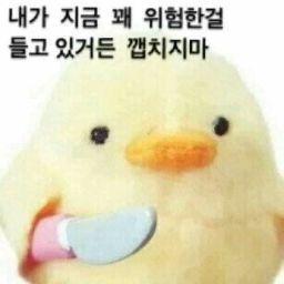 아기새