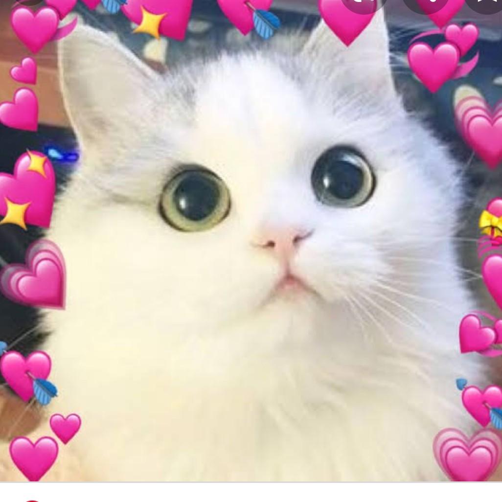 Miah