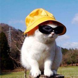 はやしだひかり