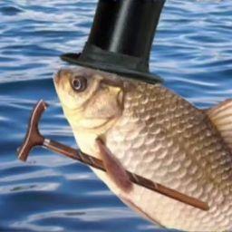 Данил Чепиженко