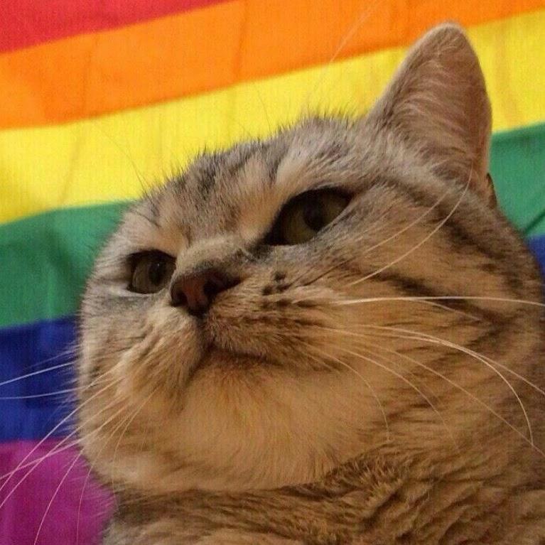 mi