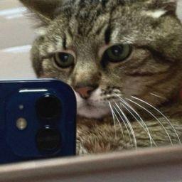 Саша Демидюк