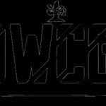 Open World Craft Team