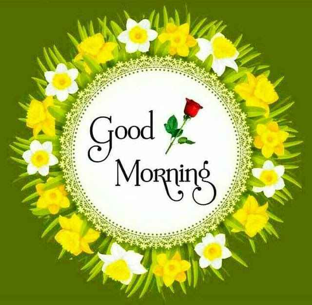 Situn beherasitun81@gmail.com