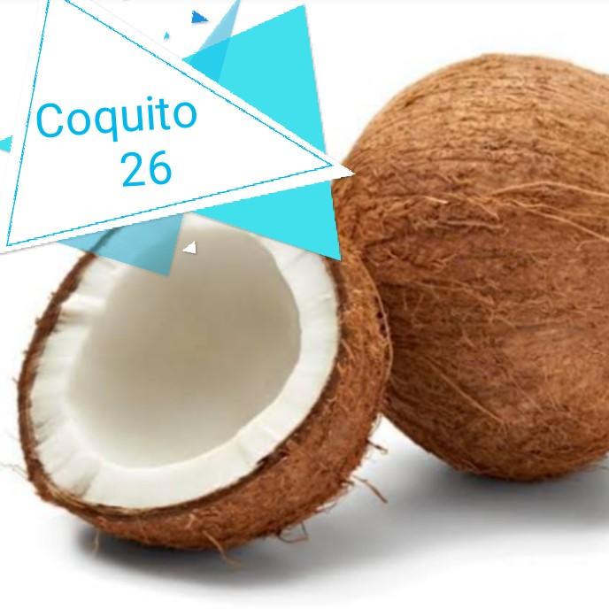 coquito26