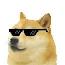 Doge