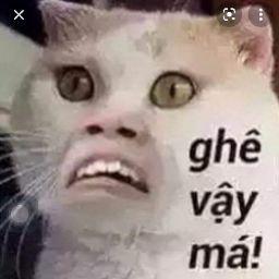 Nguyễn Hoài Thanh