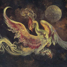 Sina Afshar