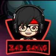 zaid Gaming