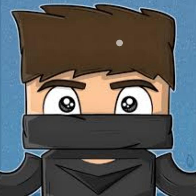 NicGamers
