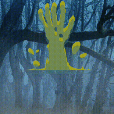 Bodhiबोधिफ़देर्