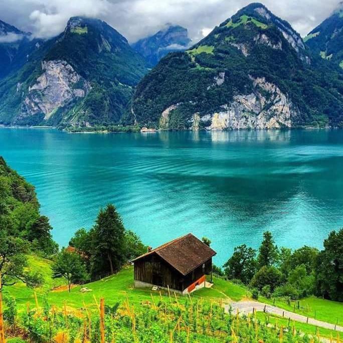 M ɪ N m I N J a s m i n