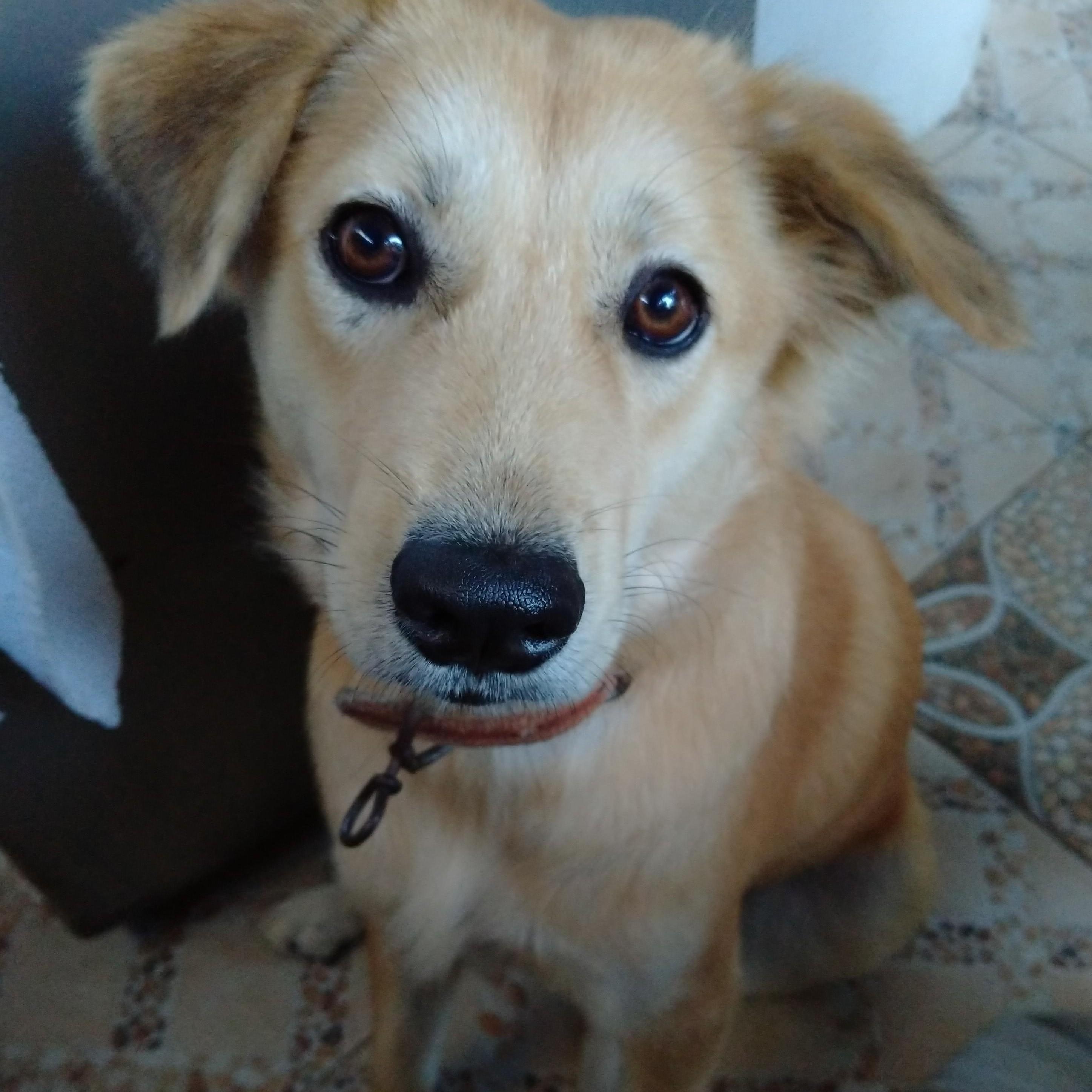 Casie Bernardino Alzona