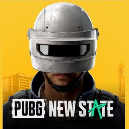 PUBG:NEWSTATE