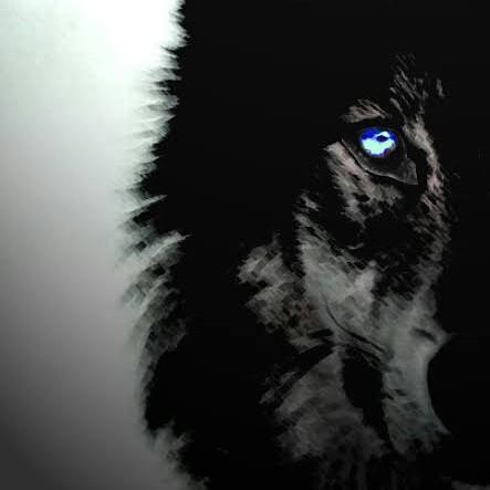 Dark Wolf