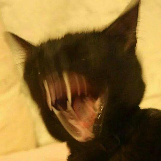 Body need เบตาดีน