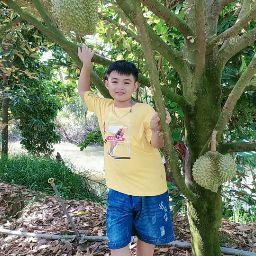 Chi Bảo Nguyễn Phan