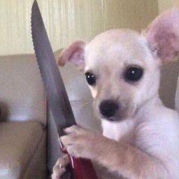 ธนบดี เรียงสันเทียะ