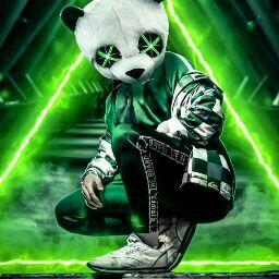 جاسر برادعي