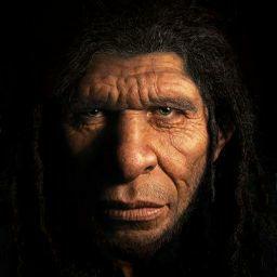 caveman with internet