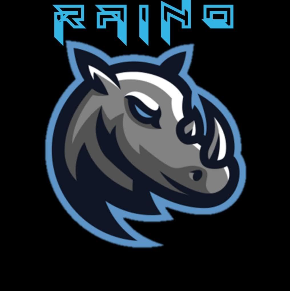 Raino Gaming