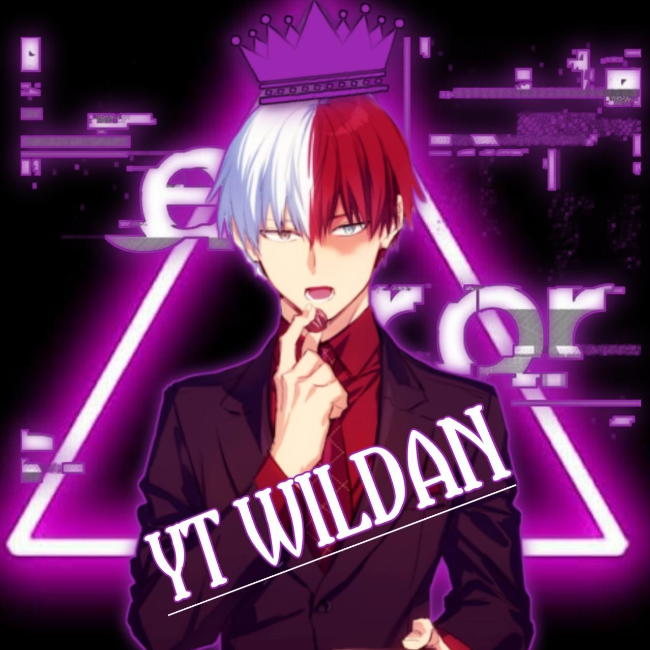 wiildan editz
