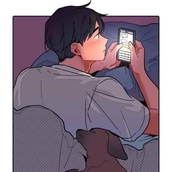 Cây Thông Bê4 Tạch