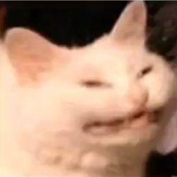 Тимофей Гакало