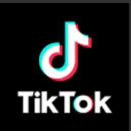 Minecraft Tik Tok