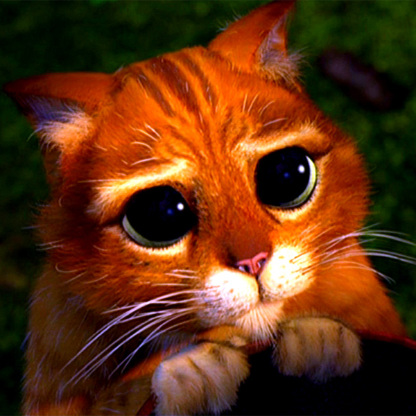 Игорь Квачев