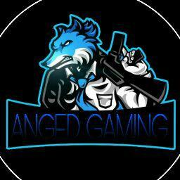 Angad Gaming