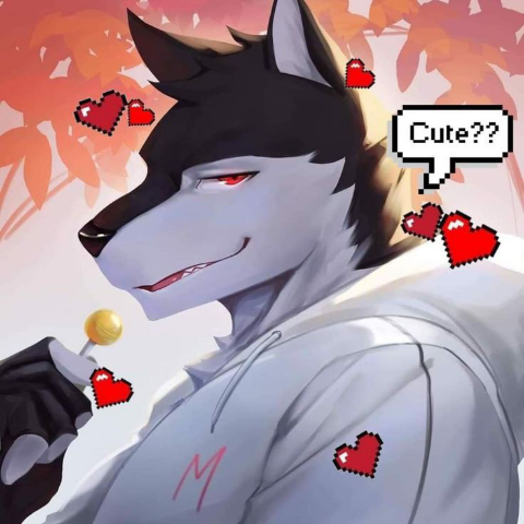 Jack_Wolfi