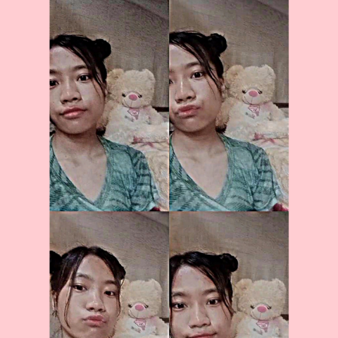 Nanwang wangsa Wangsa