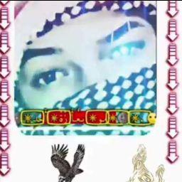 vhfمؤمل مؤمل