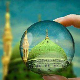 Risu, montty creation