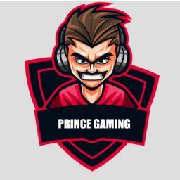 PRINCE RAJPUT