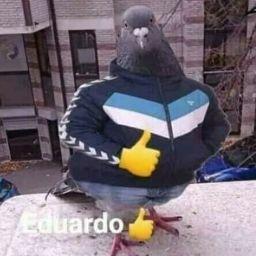 Cristhian Sobrevilla