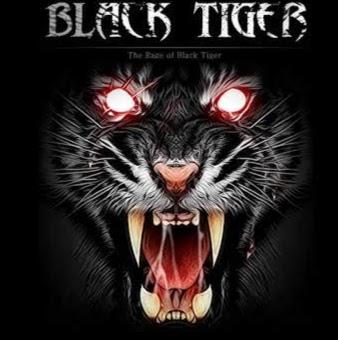 black tiger