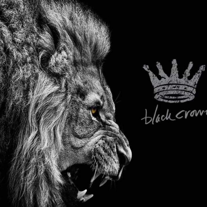 Black Crown Gaming