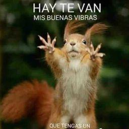 joseedenilson portillo