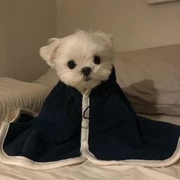 อนันต์ บุดดาพันธ์