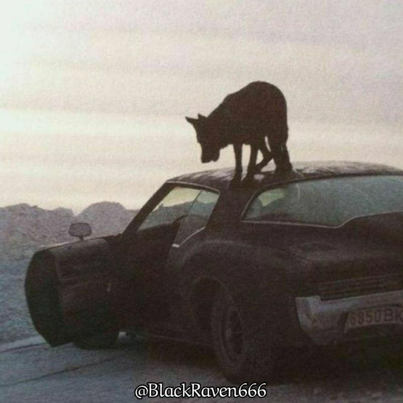 ᠬᠠᠭᠠ𝛀ཨེ་ལི་ཡཱ།ܐܠܝܐ♆𐌹𐌿𐌳𐌰𐌽𐌰𐍂𐌳𐌹