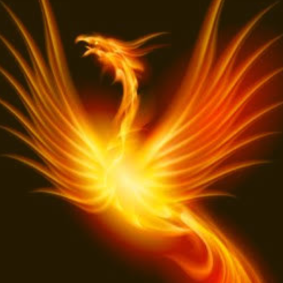 Fenix Br