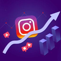 Instagram followers increase