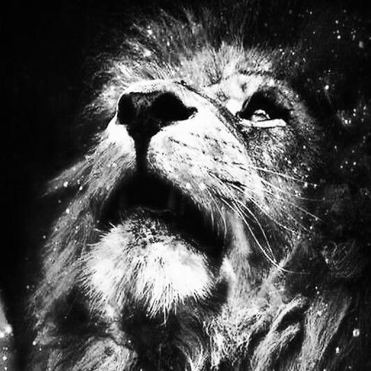 KingMoon CP47 Canine