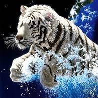 abdullah hayan alkhani