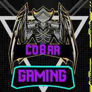 Cobra Gaming 2.0