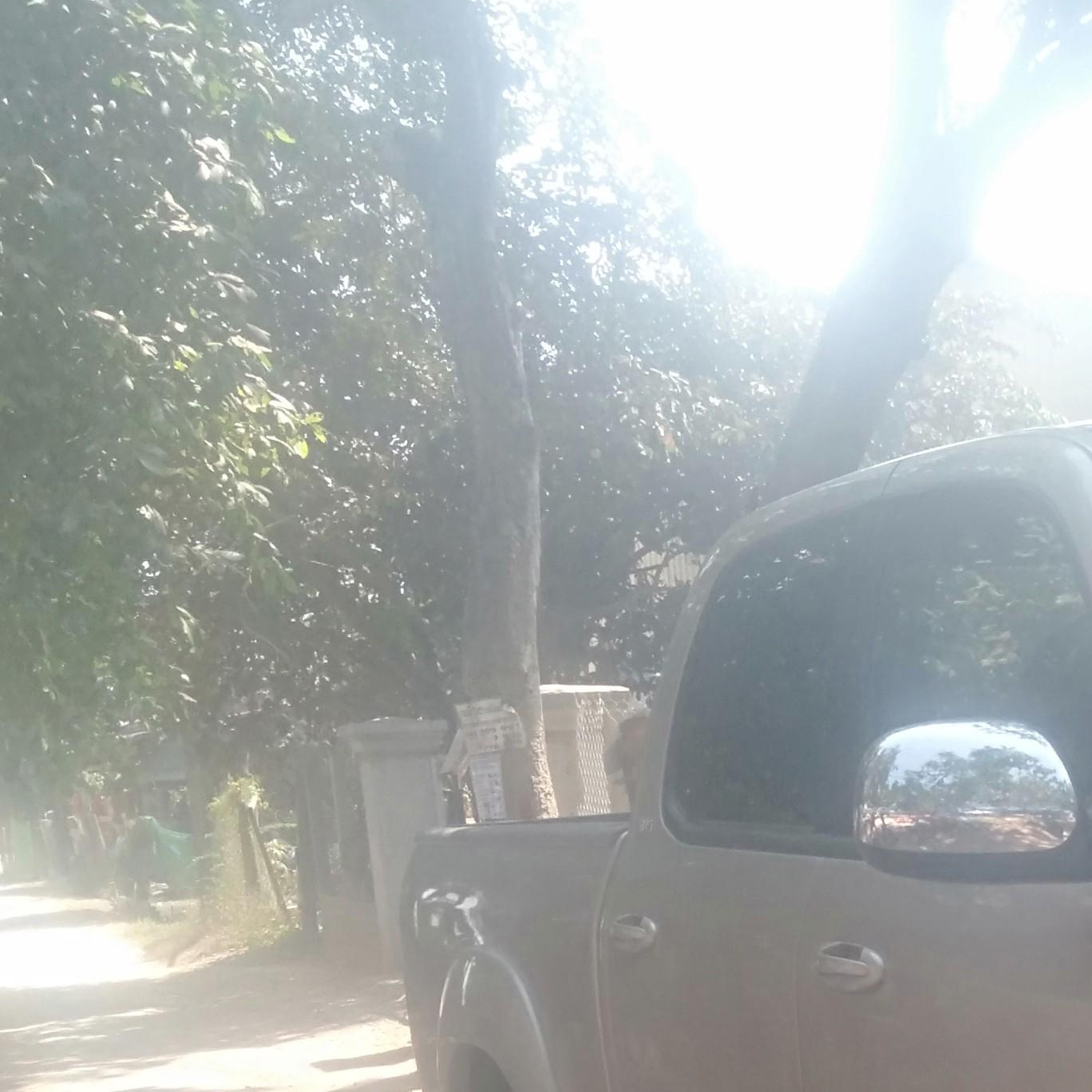 សង្ហារ បាត់ដំបង