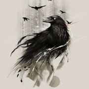 raven 12bird